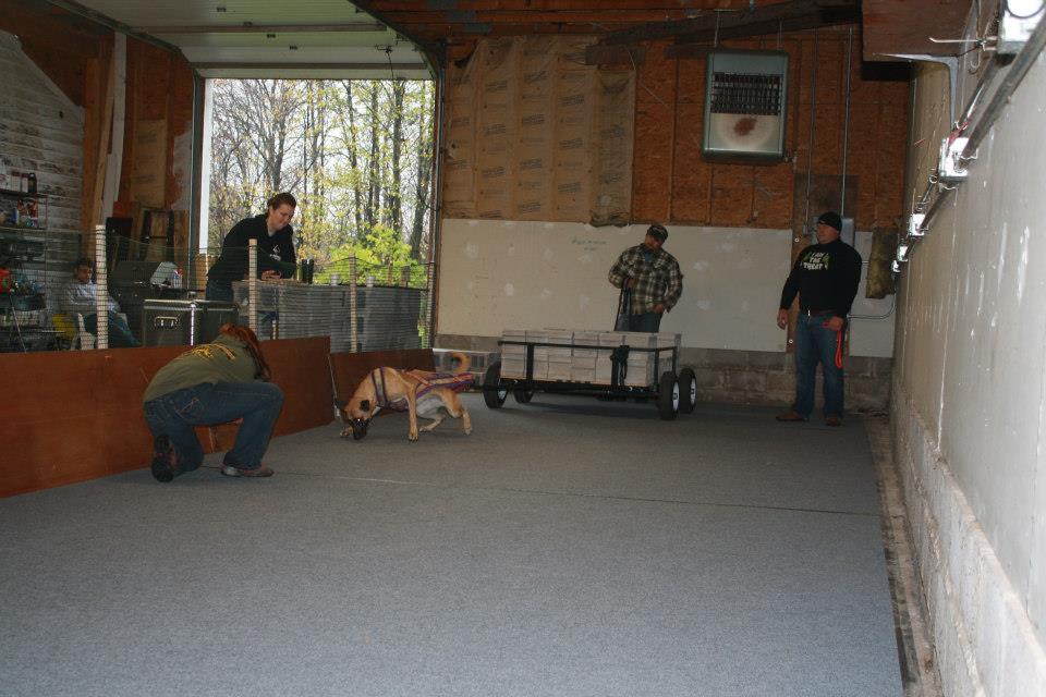 IWPA Weight Pull