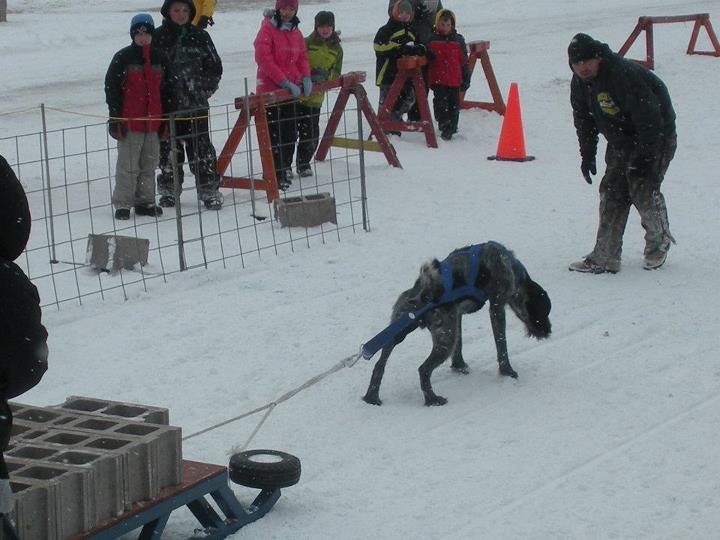 IWPA Weight Pull