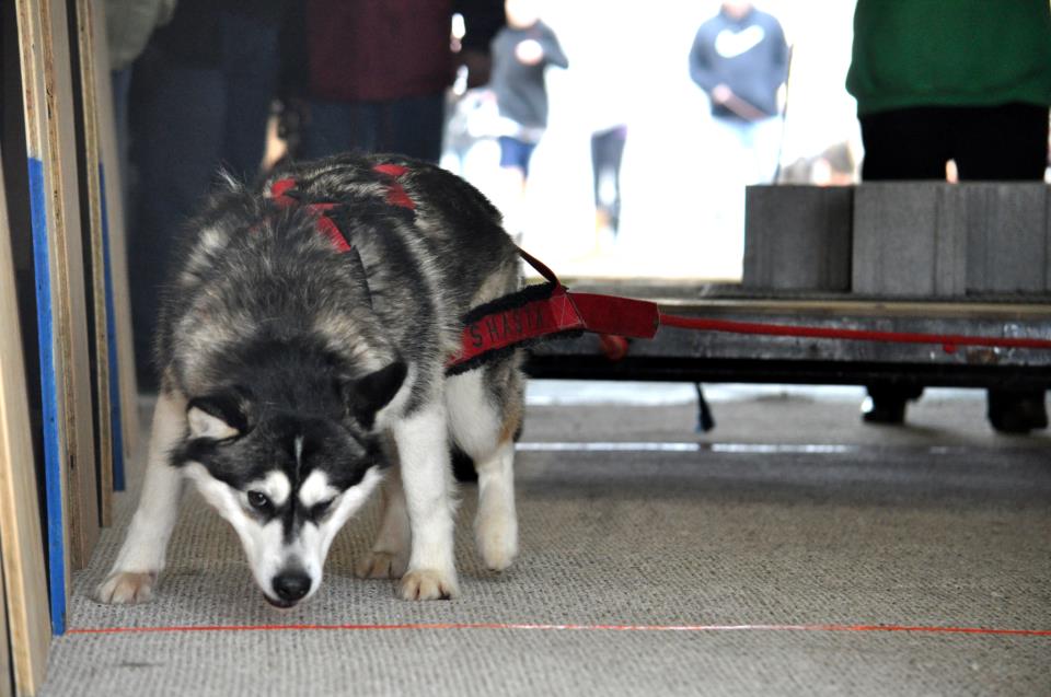 IWPA Weight Pull