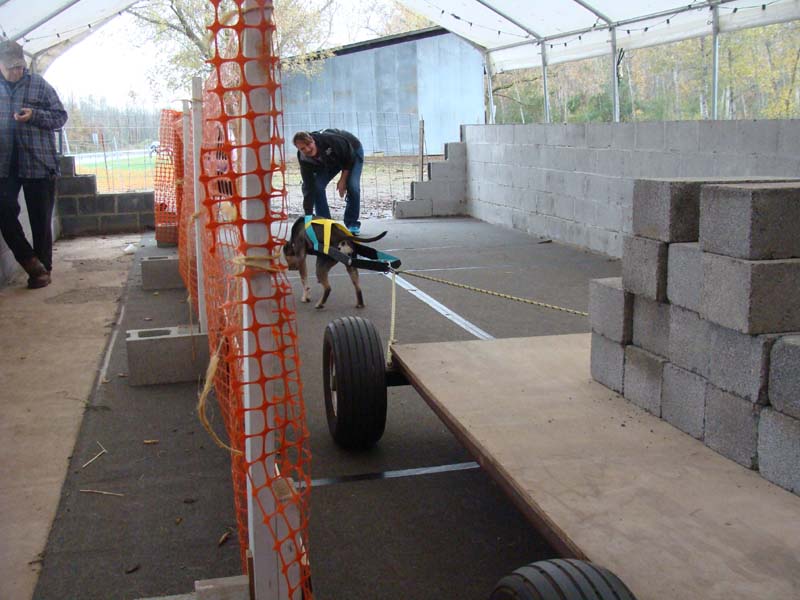 IWPA Weight Pull