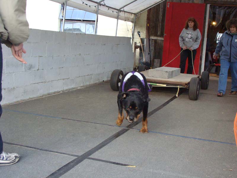 IWPA Weight Pull