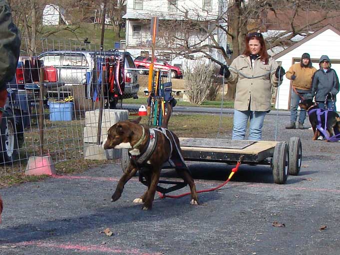 IWPA Weight Pull