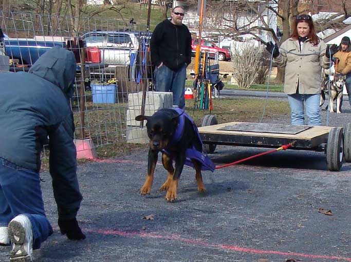 IWPA Weight Pull