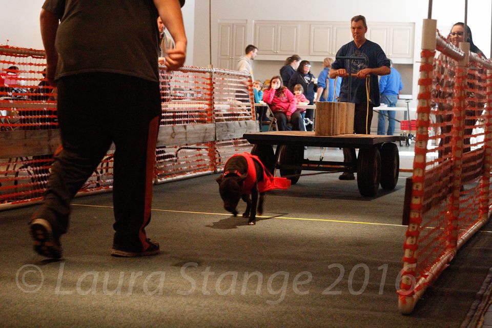 IWPA Weight Pull