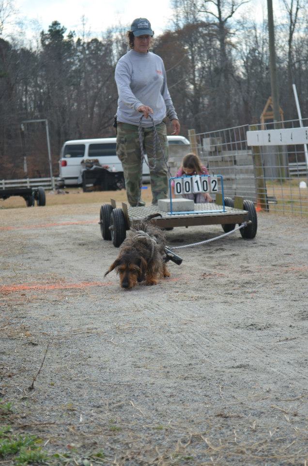 IWPA Weight Pull