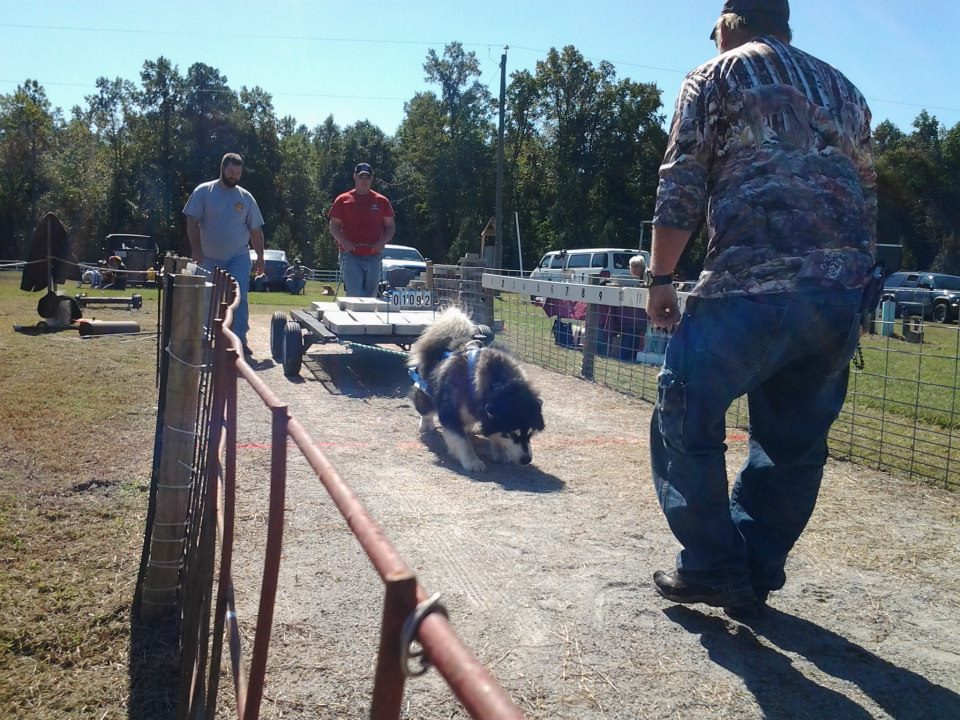 IWPA Weight Pull