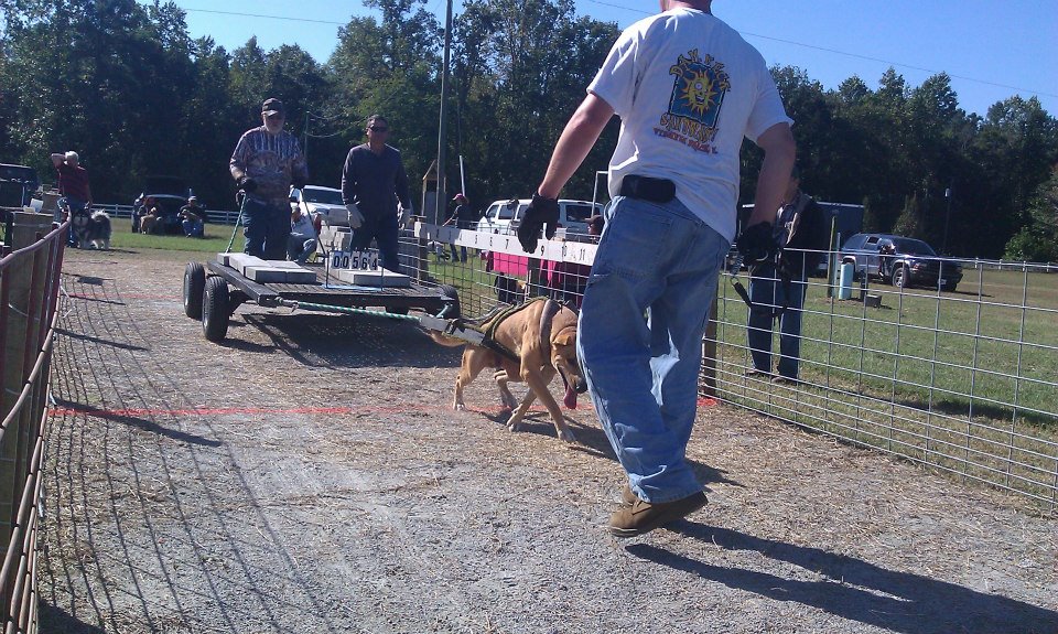 IWPA Weight Pull