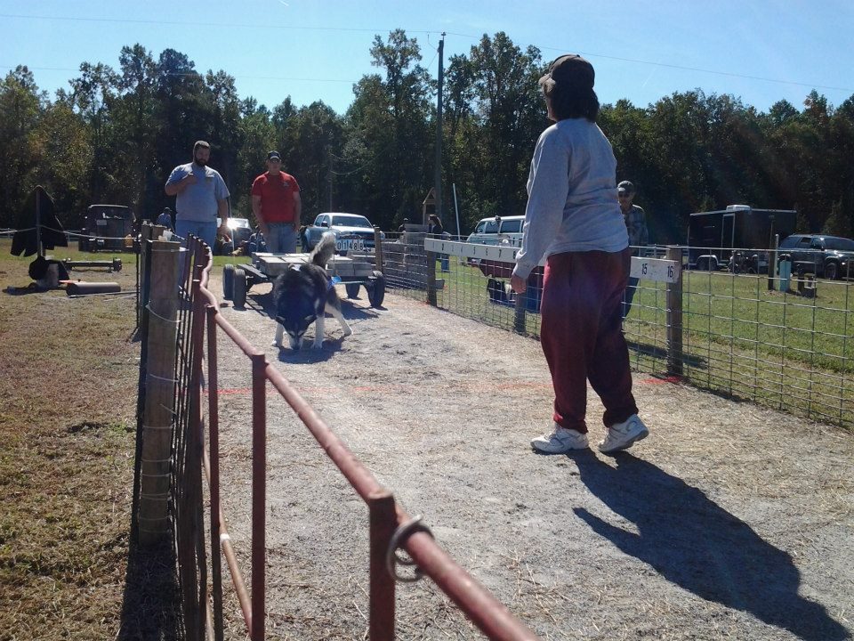 IWPA Weight Pull