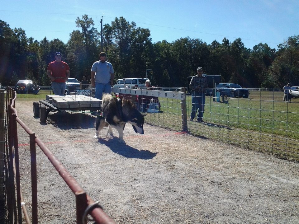 IWPA Weight Pull