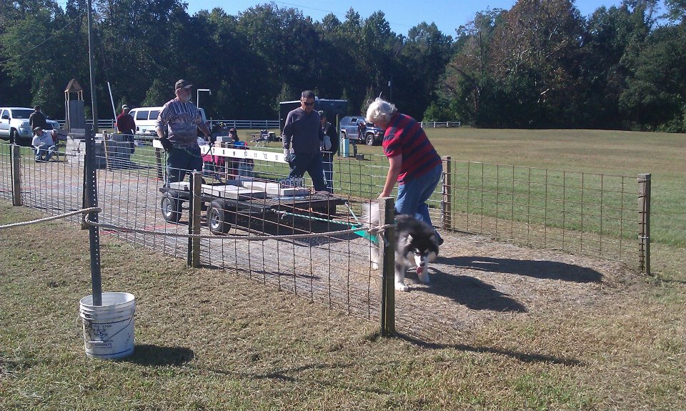 IWPA Weight Pull