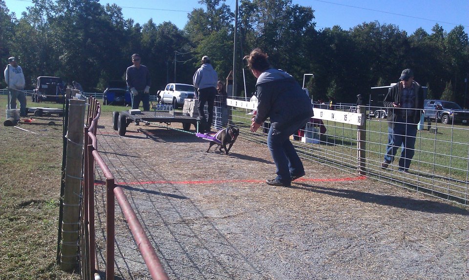 IWPA Weight Pull