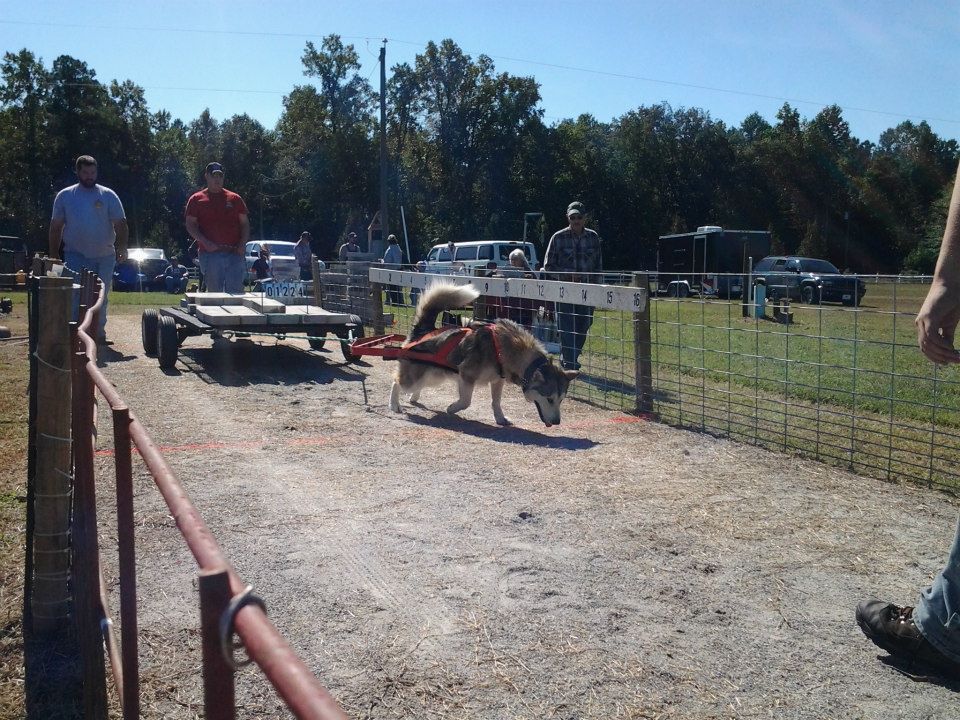 IWPA Weight Pull