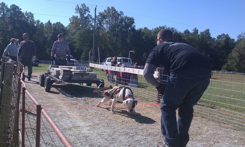 IWPA Weight Pull