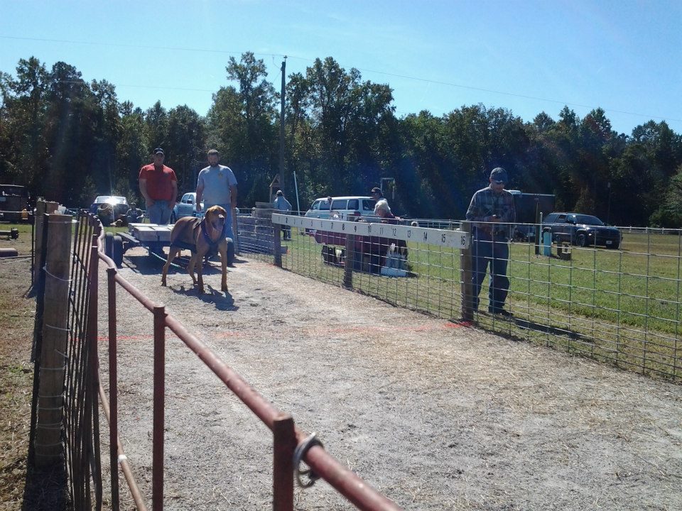 IWPA Weight Pull