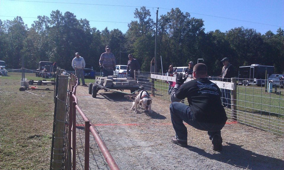 IWPA Weight Pull