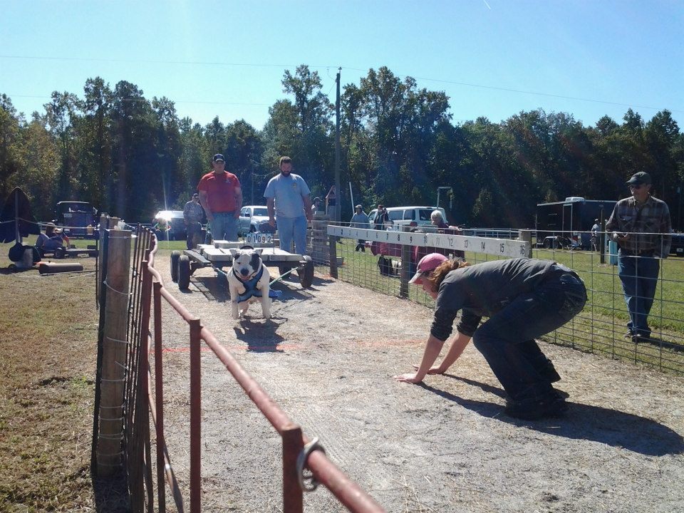 IWPA Weight Pull