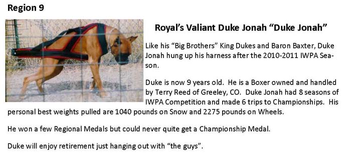 Duke Jonah